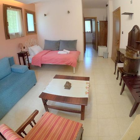 Rastoni Pelion Hotel Vizíca Kültér fotó