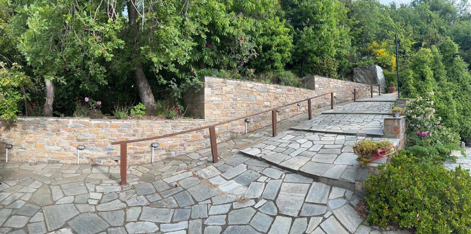 Rastoni Pelion Hotel Vizíca Kültér fotó
