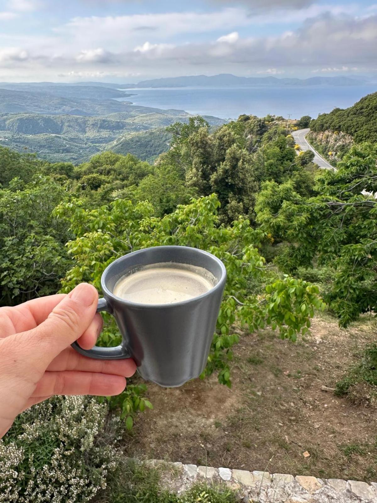 Rastoni Pelion Hotel Vizíca Kültér fotó