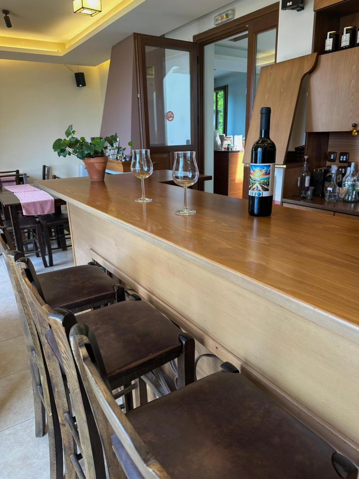 Rastoni Pelion Hotel Vizíca Kültér fotó