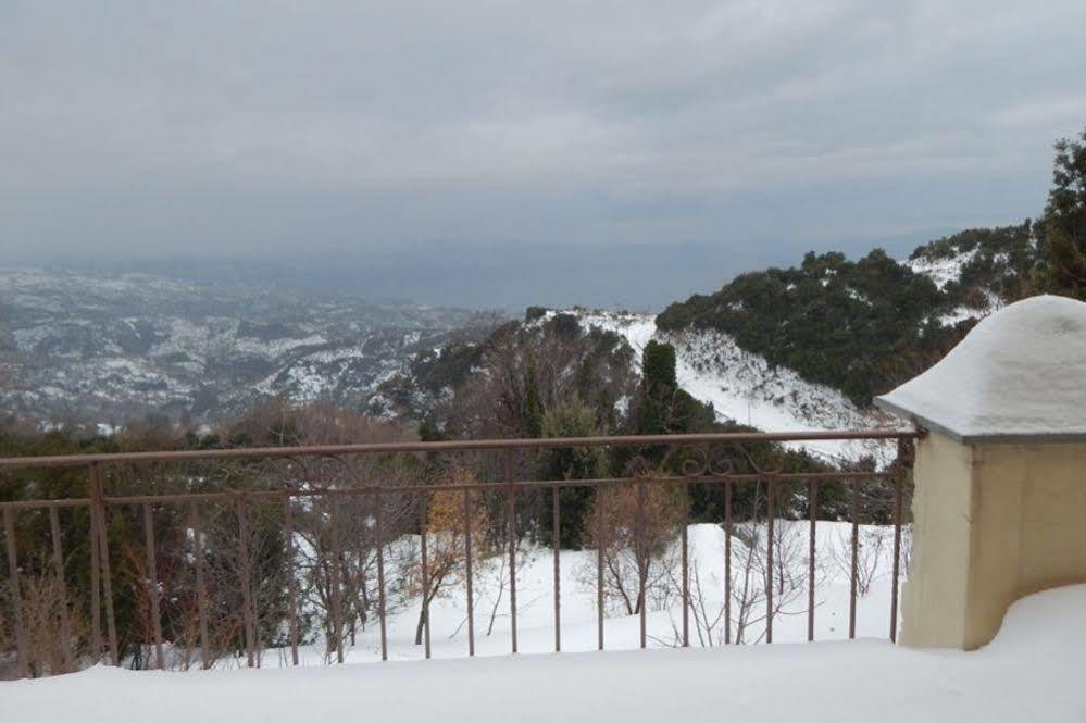 Rastoni Pelion Hotel Vizíca Kültér fotó