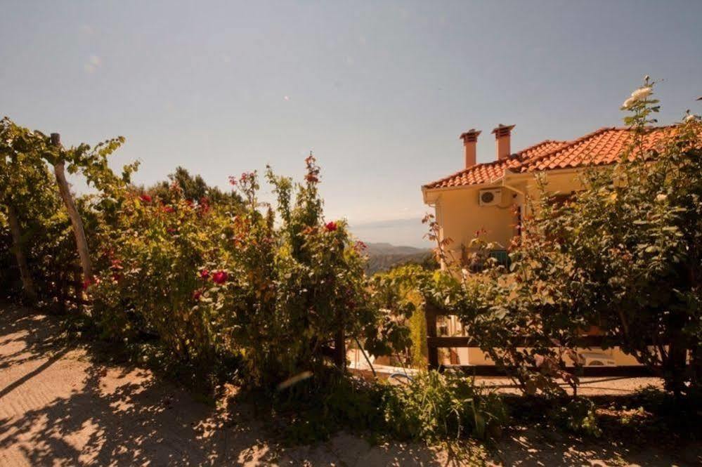 Rastoni Pelion Hotel Vizíca Kültér fotó