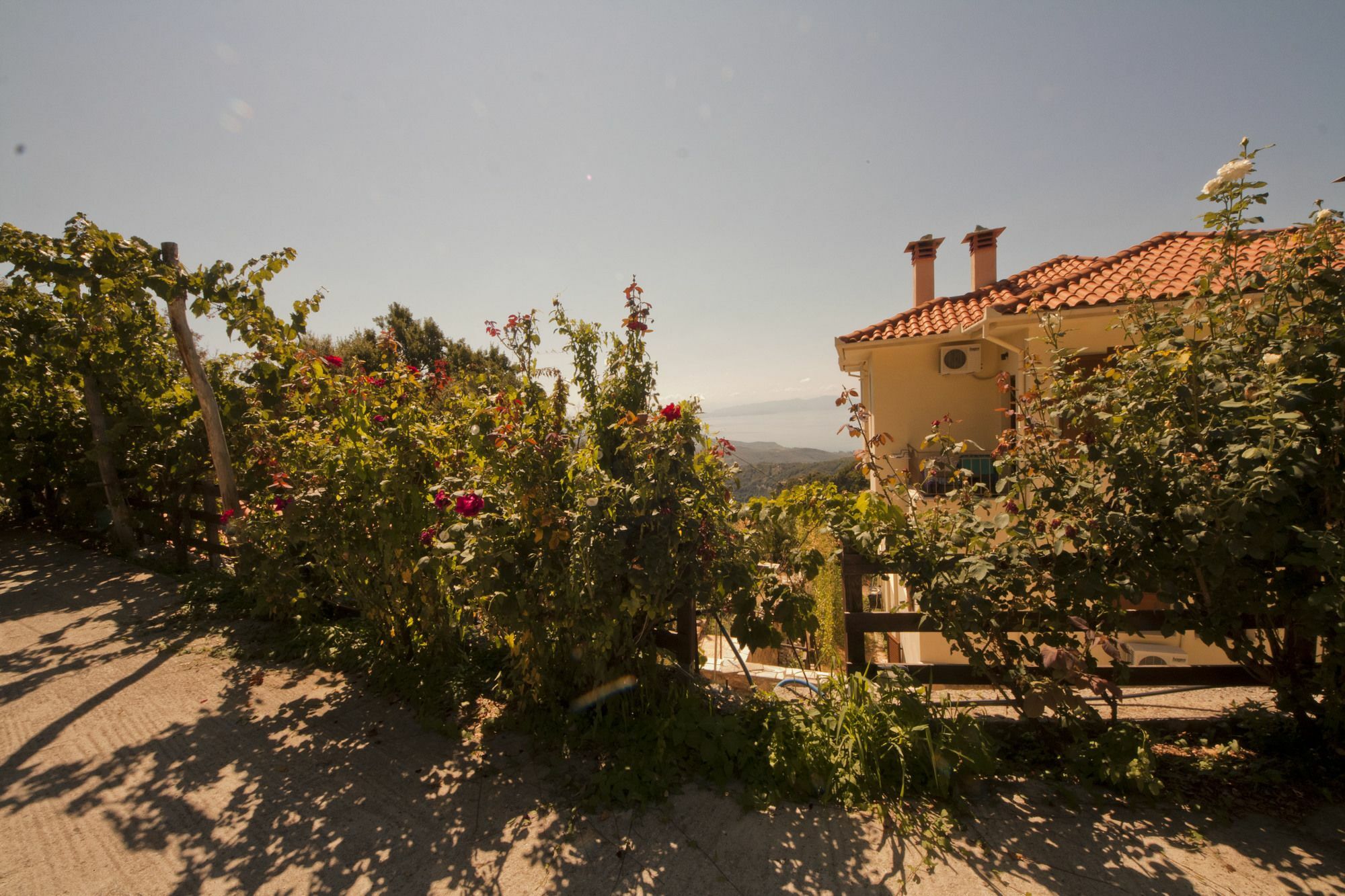 Rastoni Pelion Hotel Vizíca Kültér fotó